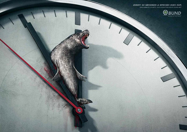 هر 60 ثانیه یک گونه حیوانی می‌میرد. هر دقیقه حساب بشه.