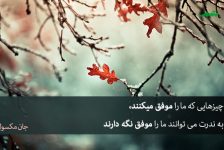 درباره راز موفقیت