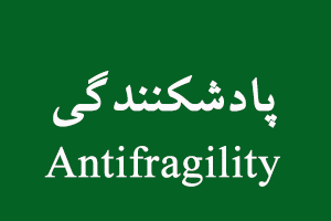 معادل Antifragility در فارسی