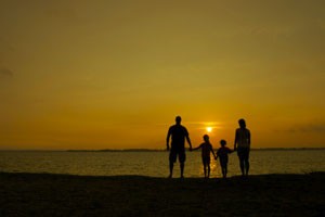 تعریف سرمایه خانوادگی چیست