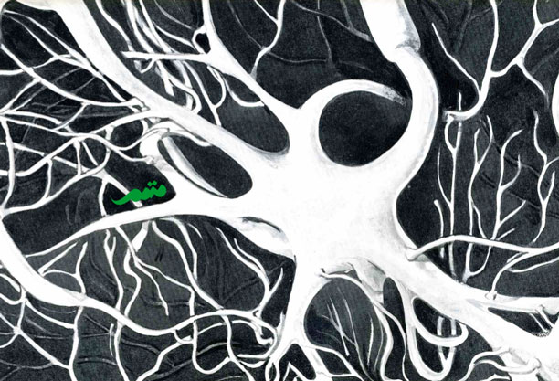 تونی بوزان و نقشه ذهنی - ساختار مغز