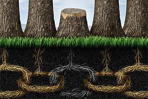 ریشه های تعارض - انواع ریشه های تعارض - مدیریت تعارض از طریق ریشه یابی تعارض