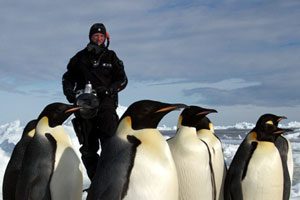 پاول نیکلن و مجموعه عکس پنگوئن از قطب جنوب