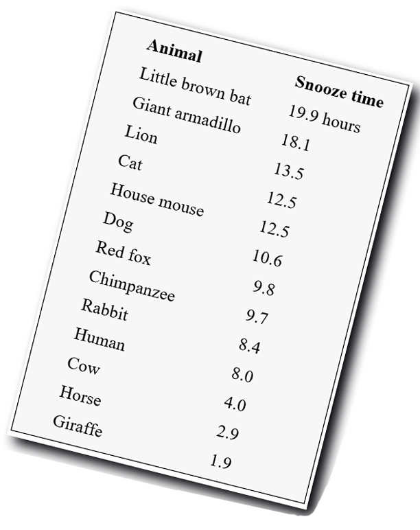 جدول ساعت خواب حیوانات خانگی
