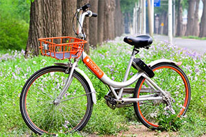 گورستان دوچرخه ها در چین
