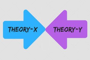 نظریه X و Y در مدیریت