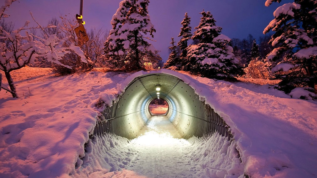 تونل برای عبور گونه‌های مختلف جانوران - فنلاند