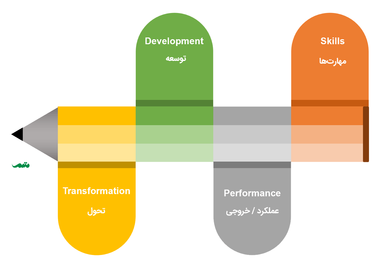 چهار سطح کوچینگ - یک نمودار چهار بخشی که در آن بخش‌های Skills یا مهارتها، Performance یا عملکرد، Development یا توسعه و Transformation یا تحول نوشته شده است